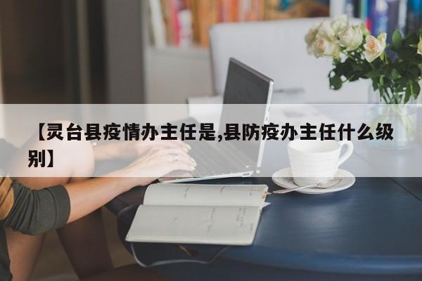【灵台县疫情办主任是,县防疫办主任什么级别】